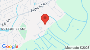 google map image