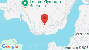 google map image