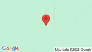 google map image