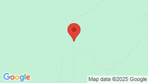 google map image