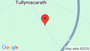 google map image