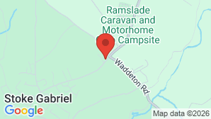 google map image