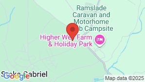 google map image