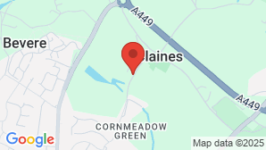 google map image