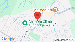 google map image