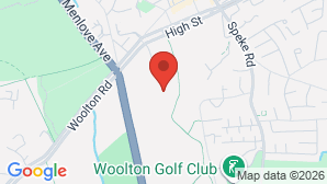 google map image