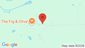 google map image