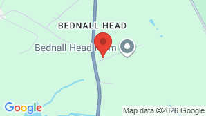 google map image