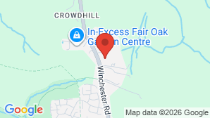 google map image