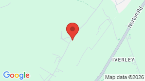 google map image