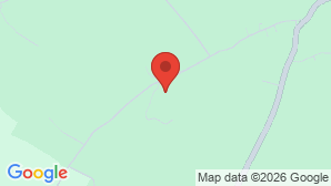 google map image