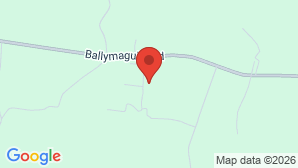 google map image