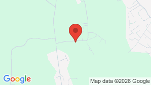 google map image