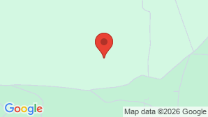 google map image