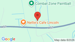 google map image