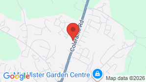 google map image