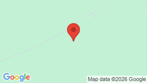 google map image