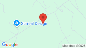 google map image