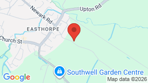 google map image