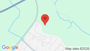 google map image
