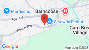 google map image