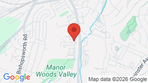 google map image