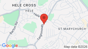 google map image