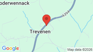 google map image