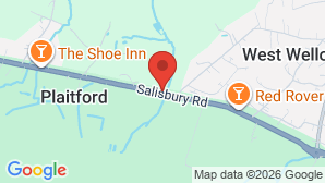 google map image