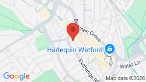 google map image