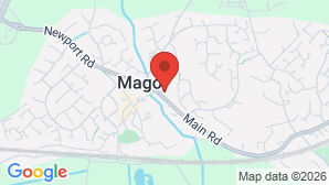 google map image