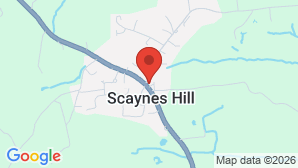 google map image