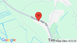 google map image