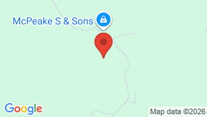 google map image