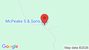 google map image