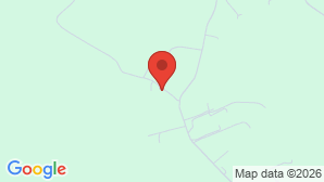 google map image