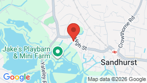 google map image
