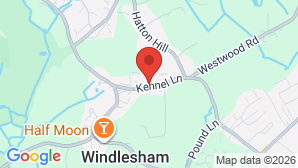 google map image
