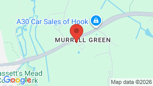 google map image