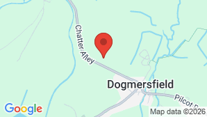 google map image