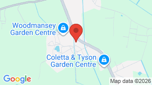 google map image