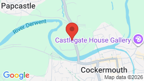 google map image