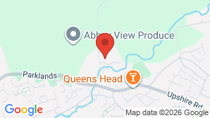 google map image