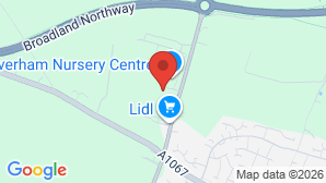 google map image