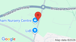 google map image