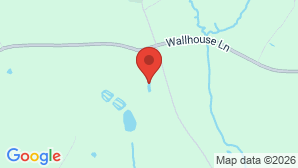 google map image