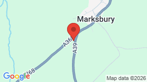 google map image