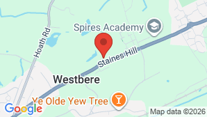 google map image