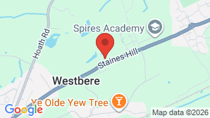 google map image