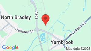 google map image